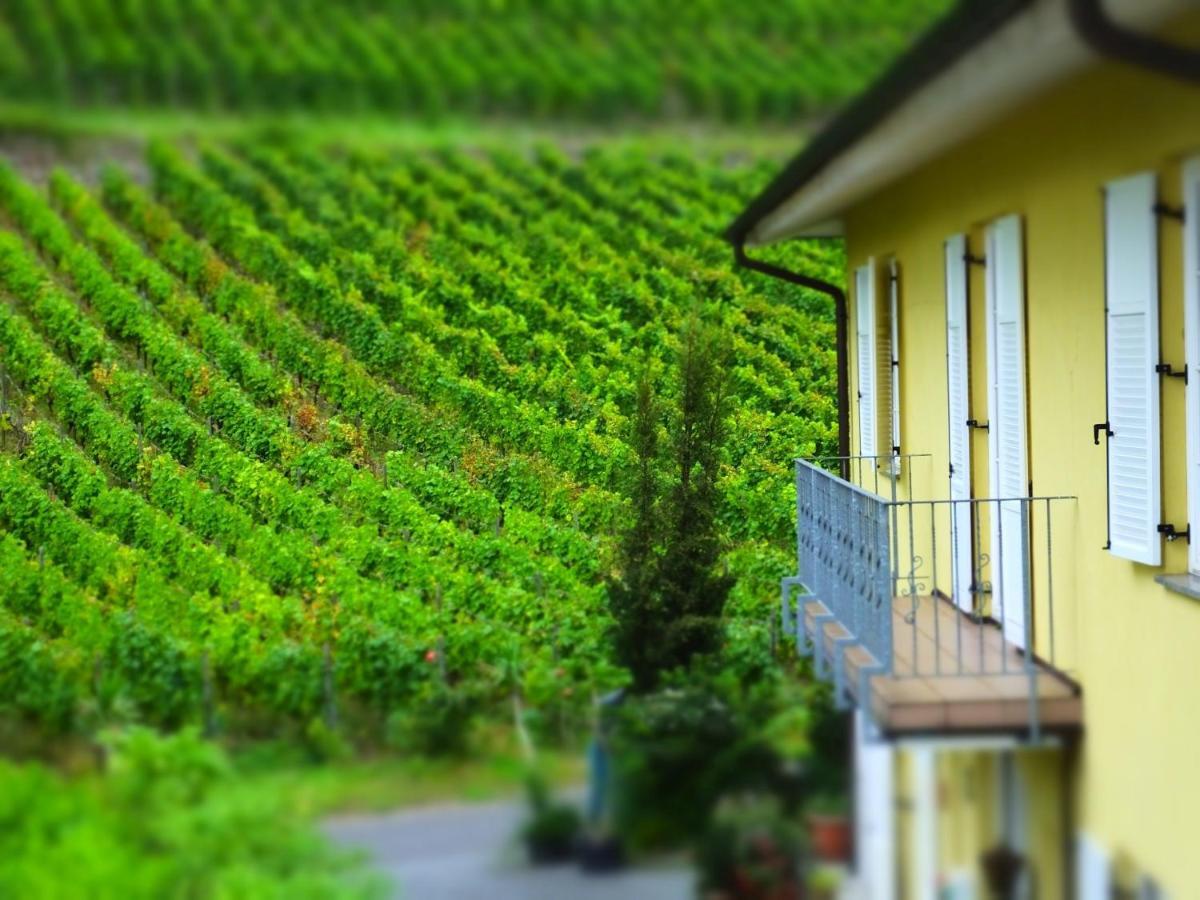Weingut Und Hotel Haus Am Drachenloch Bad Honnef Exterior foto