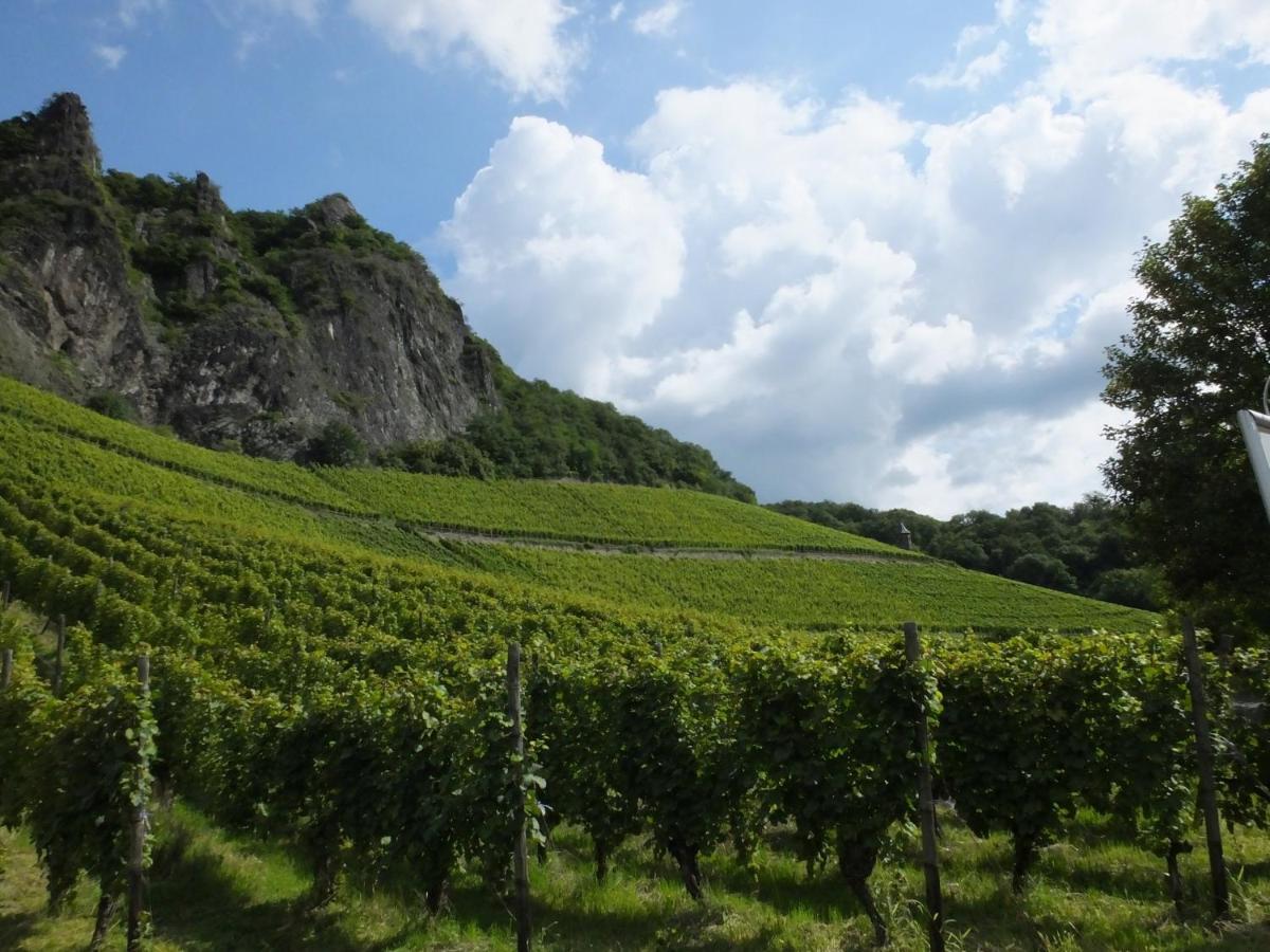 Weingut Und Hotel Haus Am Drachenloch Bad Honnef Exterior foto