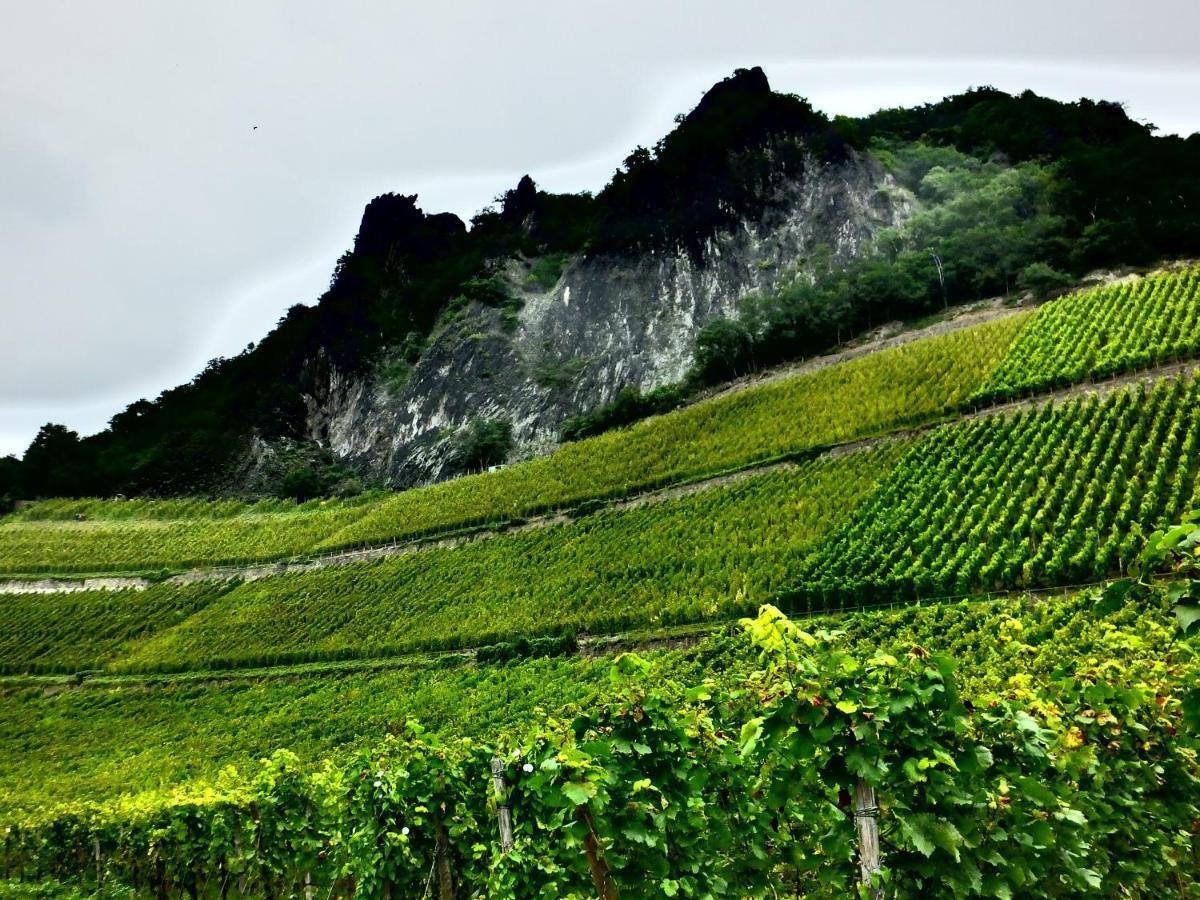 Weingut Und Hotel Haus Am Drachenloch Bad Honnef Exterior foto